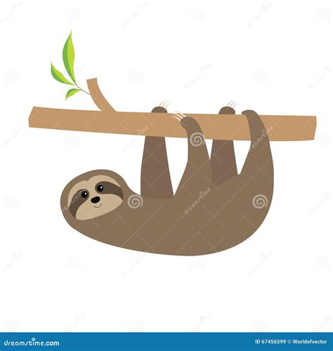 Sloth Hanging on Tree Branch . Cute Cartoon Character. Wild Joungle Animal Collection. Baby ...