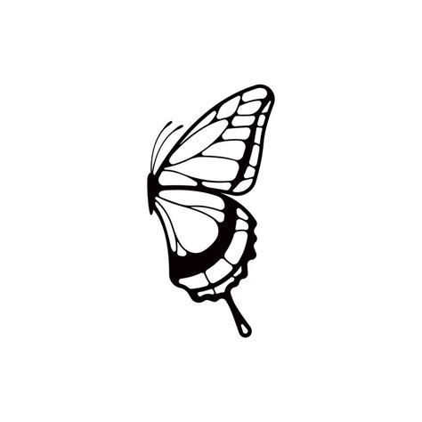 Butterfly vector isolated on white background 25560768 Vector Art at Vecteezy