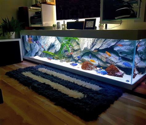 3D Aquarium Backgrounds & Fish Tank Decorations - Aquadecor | Amazing ...