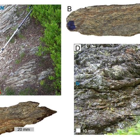 Examples of shear zones and rocks of domain no. 1 A-mylonite shear zone... | Download Scientific ...