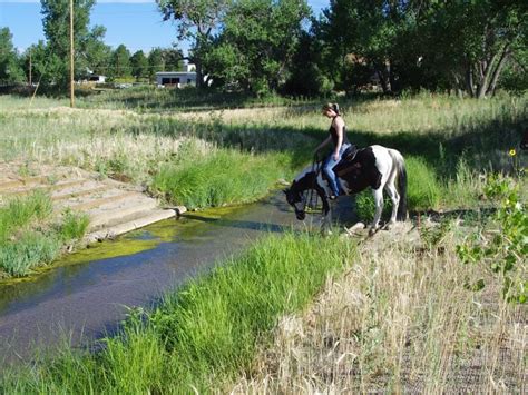 Livestock Management - streamhandbook.org