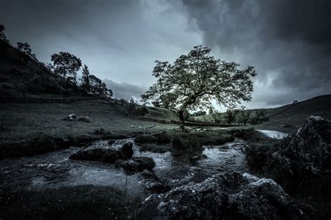 Download free photo of Tree,stream,mood,moody,nature - from needpix.com