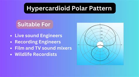 Hypercardioid Polar Pattern: 5 Proven Strategies for Audio Excellence ...