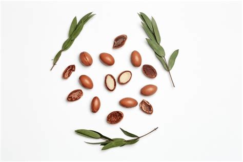 3,233 Argan Oil Tree Images, Stock Photos, 3D objects, & Vectors ...