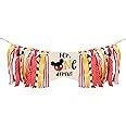 Amazon.com: Mickey Theme Mouse 1st Birthday Party Decorations,Mickey Mr Onederful High Chair ...