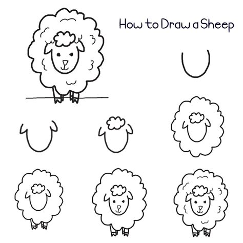 Sheep Drawing