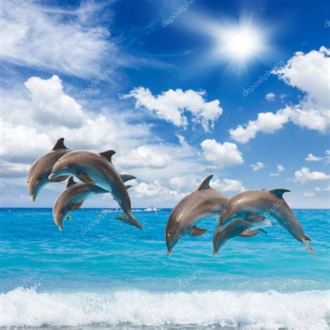 Three jumping dolphins — Stock Photo © Neirfys #86147030