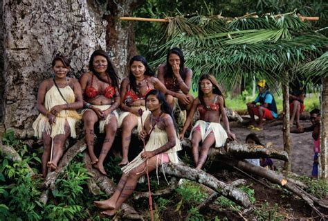 Endangered Amazon: An Indigenous Tribe Fights Back Against Hydropower Development in the Tapajós ...