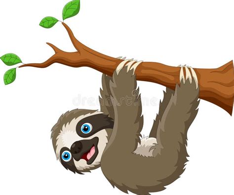 Sloth hanging on the tree stock vector. Illustration of background - 116220250