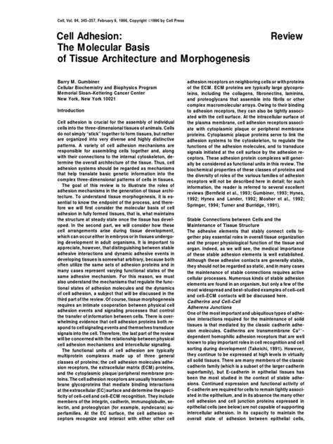 Cell Adhesion | PDF | Cell Adhesion | Morphogenesis