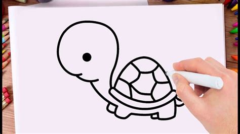 How To Draw A Tortoise In Easy Steps