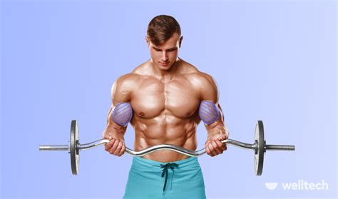 Gym Workout Chart For Men Biceps