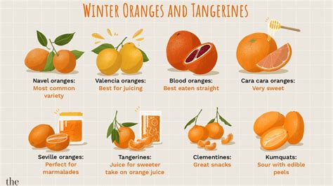 TANGERINE (Kinnow) | Chandigarh Ayurved & Panchakarma Centre