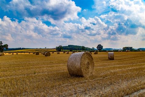 Straw Bales Free Stock Photo - Public Domain Pictures