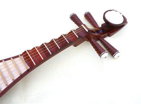 Sound of Mountain Music: Concert Grade Rosewood Pipa Instrument With Accessories