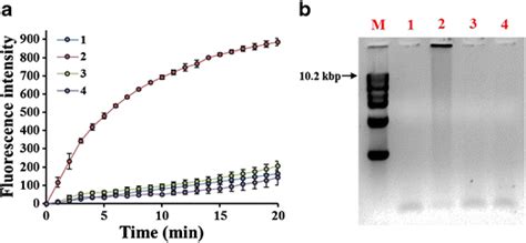 Feasibility of the RNase H activity assay (n = 3). a Time-dependent... | Download Scientific Diagram