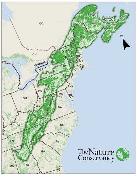 Appalachians | The Nature Conservancy