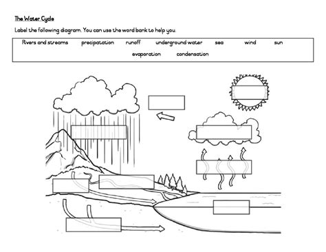 The Water Cycle Diagram • Teacha!