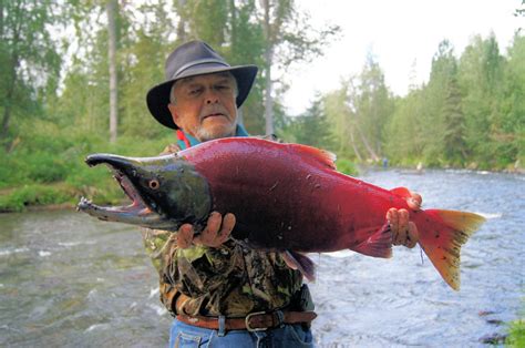 Russian River Camping: 5 Reasons Why You Must Camp in the Kenai