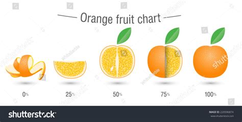 Orange Fruit Charts Infographics Sliced Orange Stock Vector (Royalty Free) 220596874