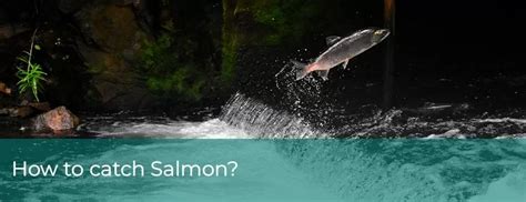 How To Catch Salmon - Fishing gadget