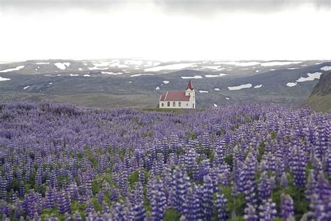 5 Things To Know Before Visiting Iceland In Spring - Follow Me Away