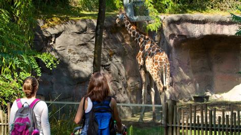 Oregon Zoo Pictures: View Photos & Images of Oregon Zoo