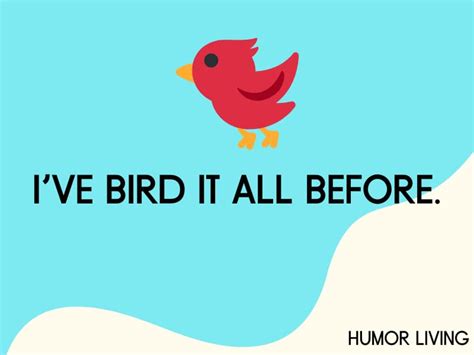 130+ Funny Bird Puns That’ll Leave You Flying With Laughter - Humor Living