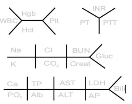 Blank Lab Value Diagram Nursing