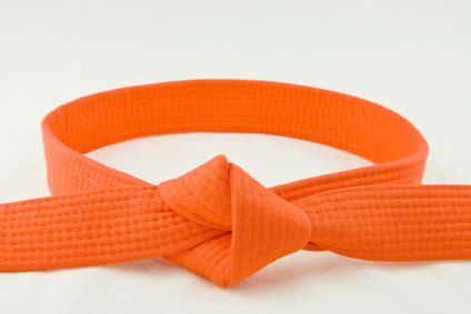 Best Of yellow belt to orange belt Everything you need to know about ...