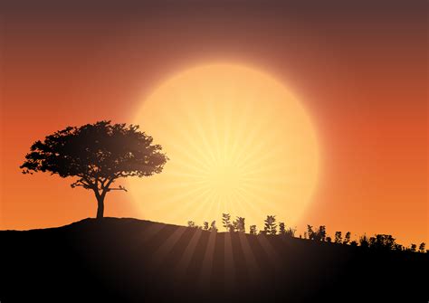 Tree silhouette against sunset sky 267271 Vector Art at Vecteezy