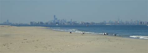 File:New York City skyline view from Sandy Hook beach NJ.jpg - Wikimedia Commons