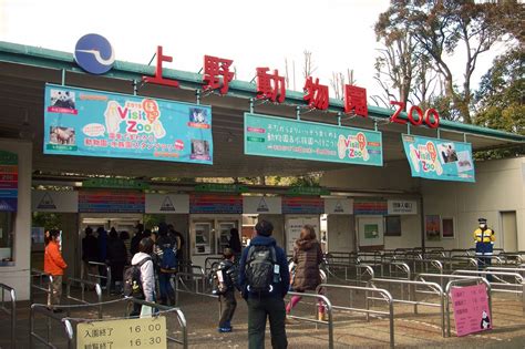 Ueno Zoo: Must Visit Zoological Gardens in Tokyo - Japan Web Magazine