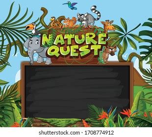 Banner Template Forest Background Illustration Stock Vector (Royalty Free) 1708774912 | Shutterstock