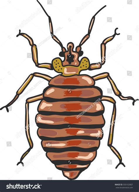 Bed Bug Vector Clipart Illustration Image Stock Vector (Royalty Free ...