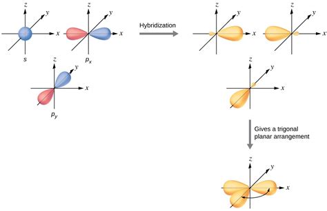 7.5 Hybrid Atomic Orbitals – Chemistry Fundamentals