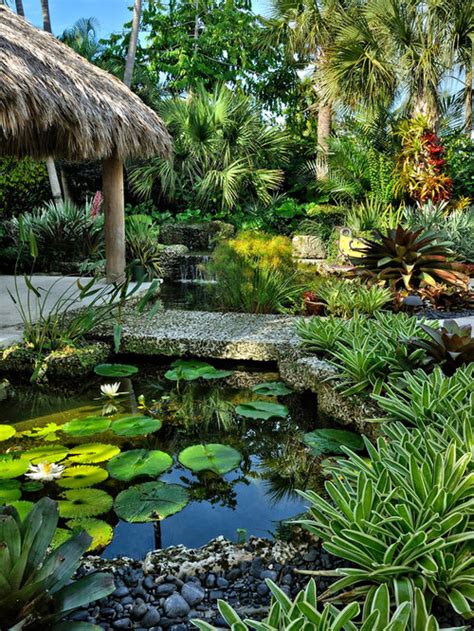 Tropical Pond | Houzz