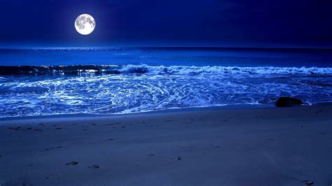 Moonlight Night Beach