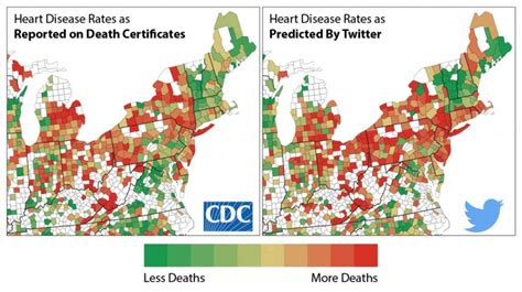 Heart Disease | Dr Todd Leslie