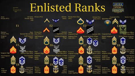 US Military (All Branches) Enlisted Ranks Explained – W... | Doovi