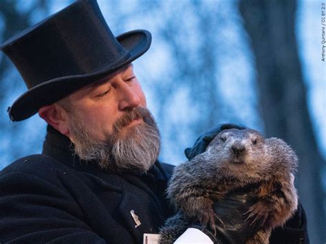 Punxsutawney Phil sees his shadow on Groundhog Day 2023 - WDIO.com