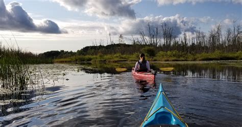 Types of Kayaks Unveiled: Choose Your Perfect Paddle - Kayak Chronicle