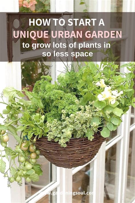 How To Start A Unique Urban Garden To Grow Lots Of Plants In So Less Space