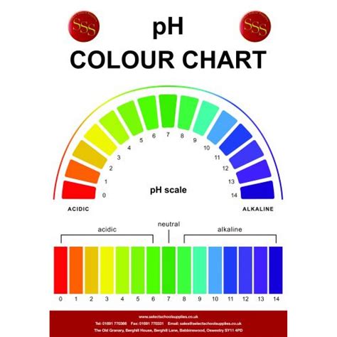 Printable Ph Color Chart | SexiezPix Web Porn