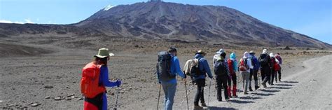 Best Possible Routes for Kilimanjaro Trekking to Explore the Adventure