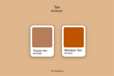 Tan Color: Its Meaning, Codes, and Top Palette Ideas - Picsart Blog