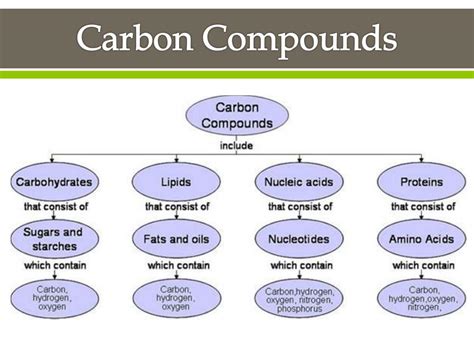 PPT - Carbon Compounds PowerPoint Presentation, free download - ID:2319022