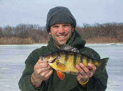 Perch Fishing Tips