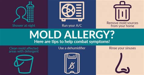 Mold Allergy Treatment - Allergychoices