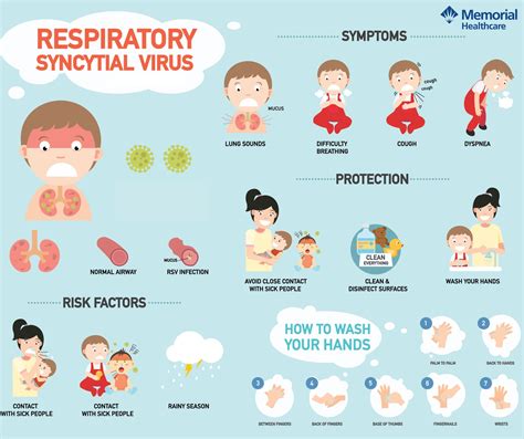 Rsv Symptoms In Adults 2024 - Willy Julietta